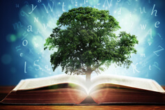 Strategic Learning and Development